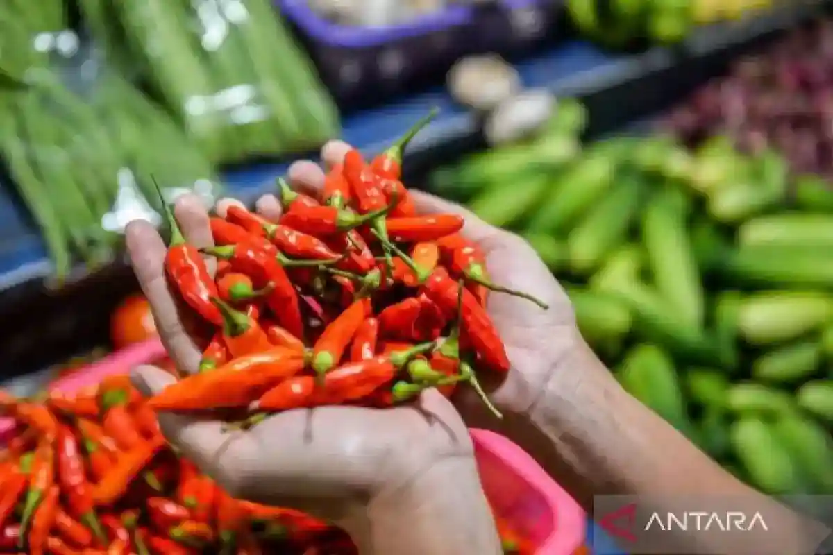 Potret Harga Pangan Nasional: Cabai Rawit Merah Rp96.200 per Kilogram